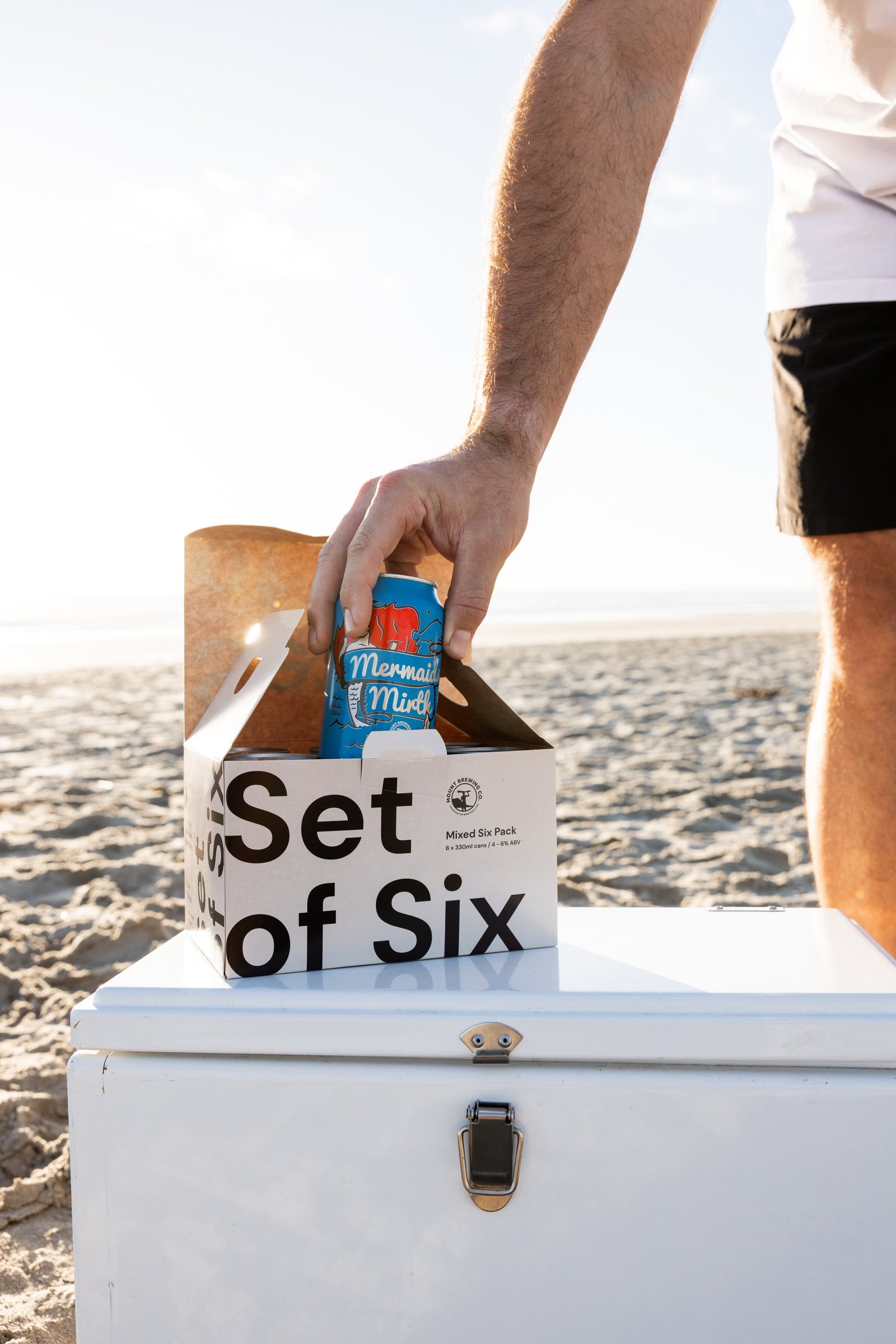 Set Of Six – Mount Brewing Co